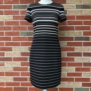Calvin Klein Black Green Tan Striped Short Sleeve Sheath Mini Dress 👗